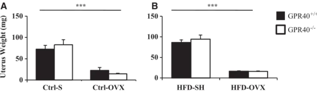Figure 2. Ovariectomy validation. (A and B) Weight analysis for uterine horns. Significantly different groups are represented by ***p < 0.0001 as analyzed via a multivariate ANOVA followed by a Tukey’s test