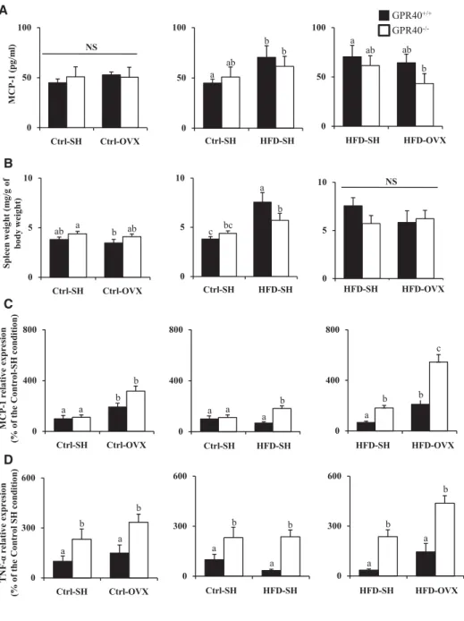 Figure 5. Inflammation parame- parame-ters. (A) Monocyte chemotactic protein 1 (MCP-1) level  analy-sis in blood samples