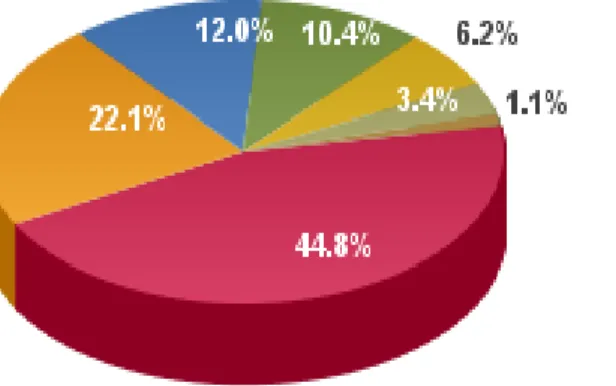 Figure n°8 : Les utilisateurs d’internet au 31 décembre 2011 4