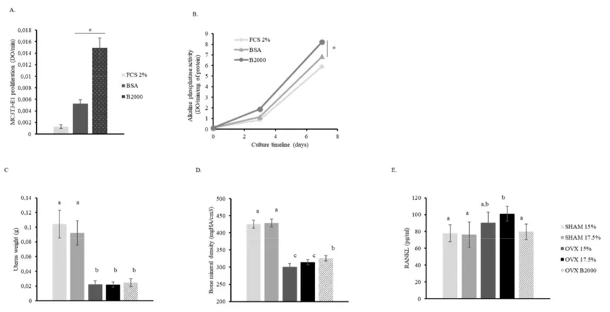 Figure 1. Effect of B2000 HC on bone metabolism in vitro and in vivo. (A) MC3T3-E1 proliferation after seven days of culture in 2% FCS (foetal calf serum) in the  presence or absence of B2000 (hydrolysed collagen, 0.5 mg/ml) or its isoproteic control (BSA 