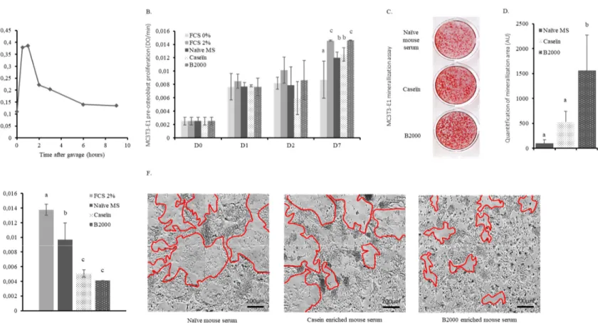 Figure 2. Ex vivo effects of HC in murine bone cells. (A) Hydroxyproline kinetics in mouse serum following B2000 (hydrolysed collagen) gavage; (B) MC3T3-E1  pre-osteoblast proliferation during incubation with FCS (foetal calf serum; 0 to 2%), naïve or enri