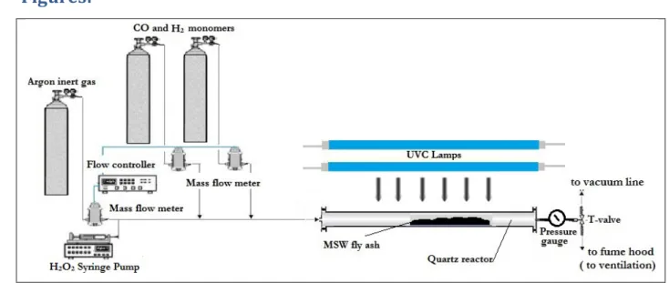 Figure 1. Experimental apparatus and injection set-up 