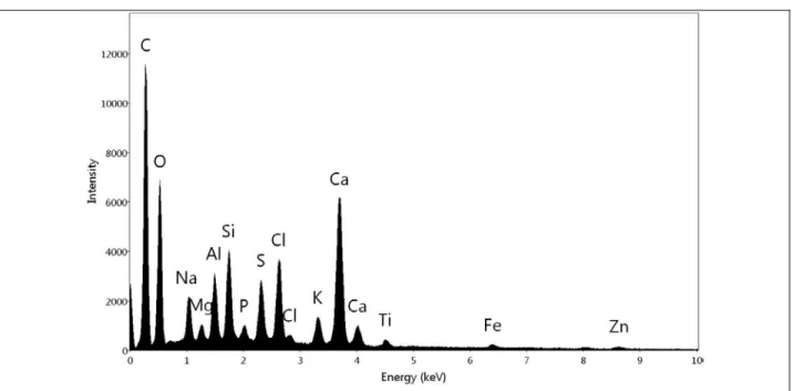 Figure 3. XRD pattern of ash powder before any experiments. 