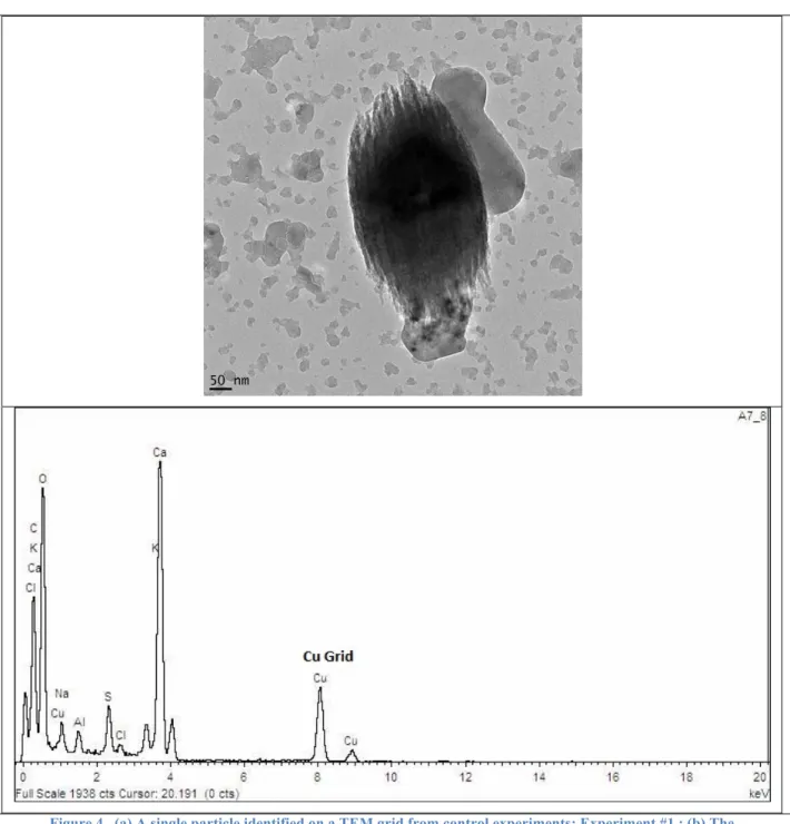 Figure 4.  (a) A single particle identified on a TEM grid from control experiments: Experiment #1 ; (b) The  corresponding EDS spectrum shows its composition is mainly Ca