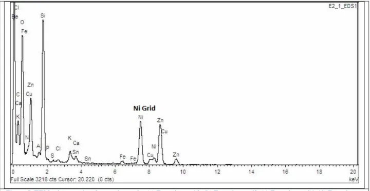 Figure 5. TEM micrographs of treated samples (a) Experiment #2, (b) Experiment #3, (c) Experiment #4, (d) Experiment 
