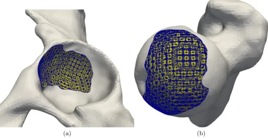 Figure 9: Contact interface.