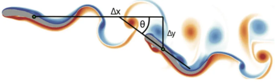 Figure 4: Leader and follower swimmer, reproduced from Novati et al. (2017), with the displacements ∆x and ∆y as well as the orientation θ between the leader and the follower.