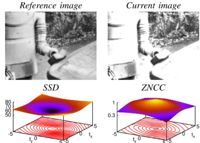 Fig. 1. Robustness of the cost functions with respect to global illumination variations.