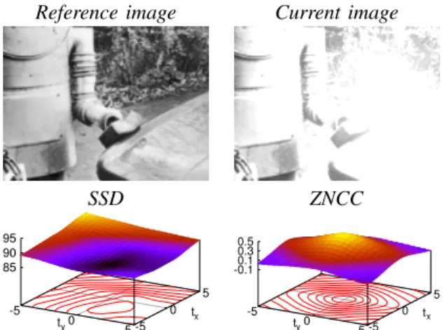 Fig. 2. Robustness of the cost functions with respect to global illumination variations.