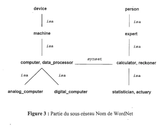 Figure 3 : Partie du sous-réseau Nom de WordNet