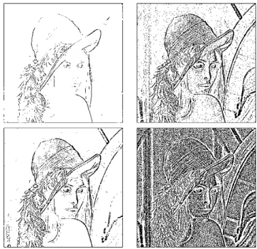 Fig. 3. Lena image filtered with the CLIP (left) and SLIP (right) models V-8 Laplacian filter