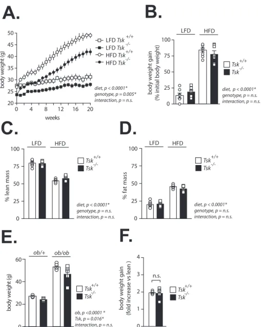 Figure 2: Loss of TSK does not protect mice against obesity development. (A) Body weight and (B) percentage of body weight gain of Tsk þ/þ and Tsk /- mice fed either a LFD or a HFD diet for 19 weeks (n ¼ 6 e 8/group)