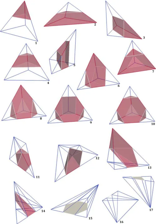 Fig. 31 Tetrahedron topological cut patterns: red zone corresponds to positive domain