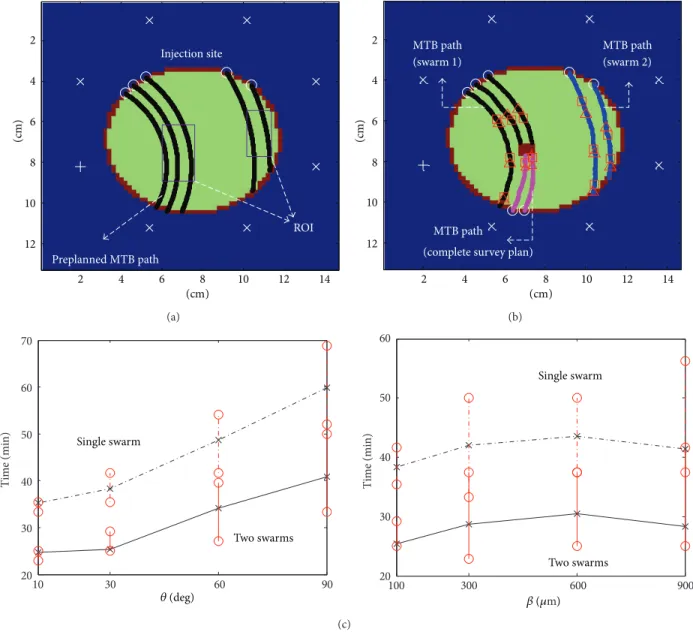 Figure 6: (a) Preplanned MTB paths for the system setup in Figure 3(b). (b) Simulated DMI footprints