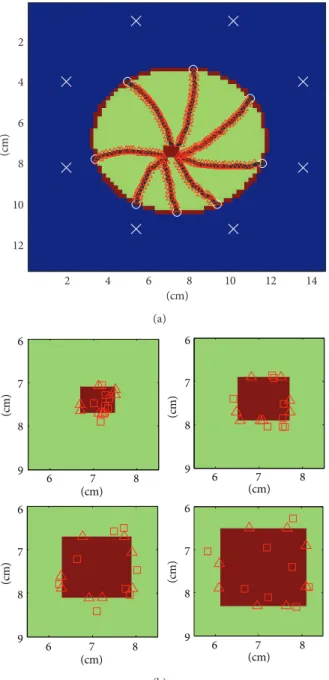 Figure 7: (a) Multidirectional tumor targeting. (b) Simulated DMI footprints for four tumors with different sizes