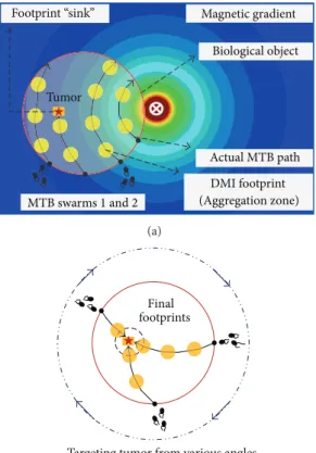 Figure 2: Illustration of (a) cancer detection and (b) examination with multiswarm MTB microbots.