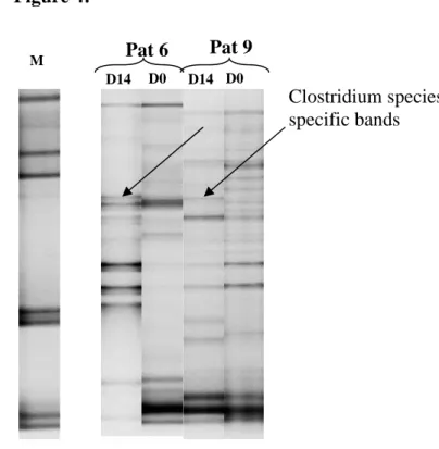 Figure 4:  566  567  568  D0  D0  Clostridium species specific bands M   9-D1  9-D14D14 D14 Pat 9 Pat 6 