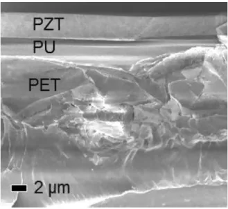 Figure 4 : Cross-section SEM image of PZT transferred on polymer substrate. 