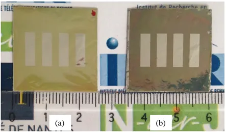 Figure 2 : Photos of (a) PZT/Al and (b) PZT/PET samples. 