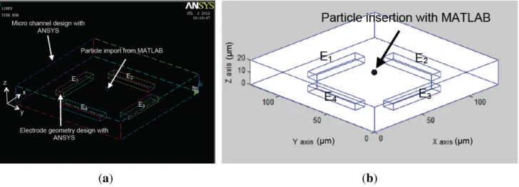 Figure 6. (a) Electrode modeling using ANSYS and (b) particle insertion with MATLAB in the micro-channel within a 4-electrode architecture.