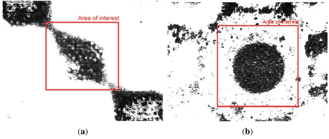 Figure 17. Image processing with MATLAB of captured image from Suss microscope using 0.97 µ m diameter polystyrene microspheres (dyed red) from Bangs Laboratories exposed to DEP forces within (a) a 4-electrode architecture and (b) an 8-electrode architectu