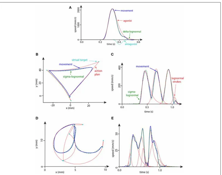 FIGURE 1 | (A) Example of the speed profile of a delta-lognormal modeling for a typical fast reaching movement