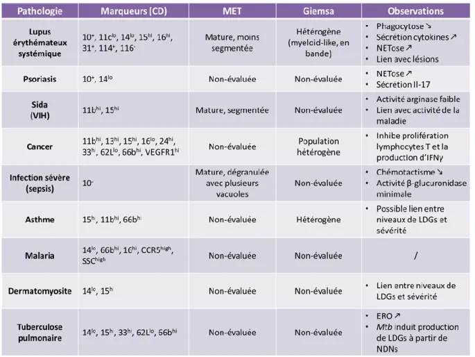 Tableau 1 : Caractéristiques des granulocytes de faible densité (LDGs) dans différentes  maladies