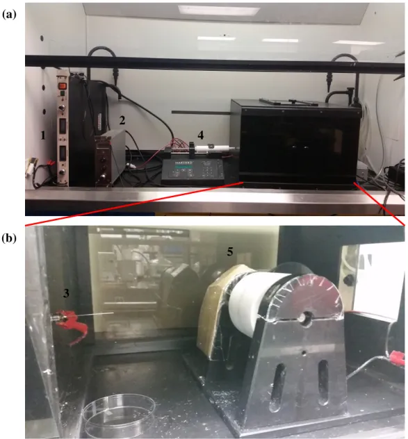Figure  2.1  Photographs  of  the  electrospinning  setup  used  in  our  laboratory.  (a)  general  view  including  high  voltage  power  sources  (1  and  2)  and  automated  injector (4) and (b) close look at the needle (3) and rotating disk collector 