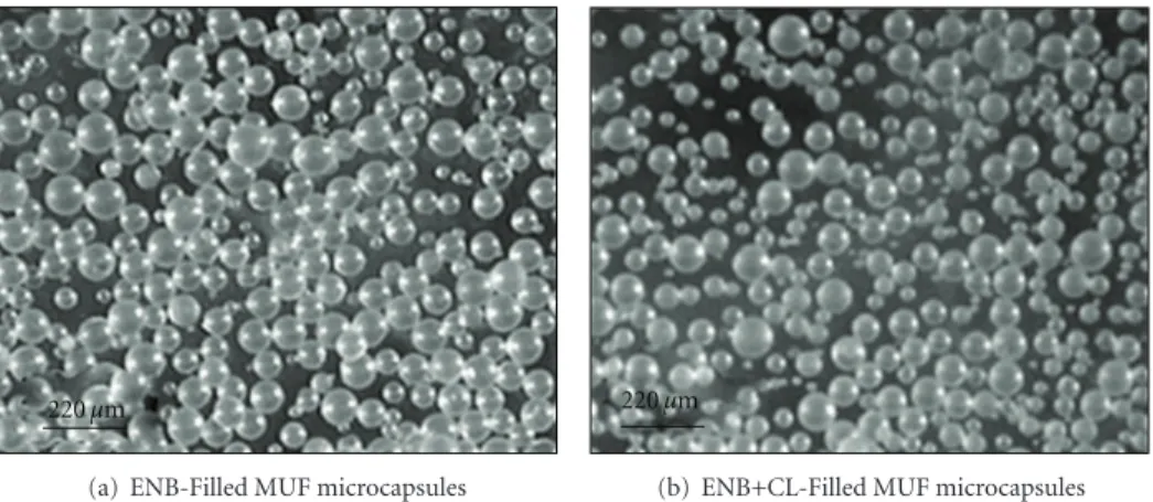 Figure 4: Optical microscopic images of ENB- and ENB + CL-filled MUF microcapsules with no debris formed (M/U/F = 3 : 1 : 8.5, reaction temperature = 86 ◦ C, rpm = 500)