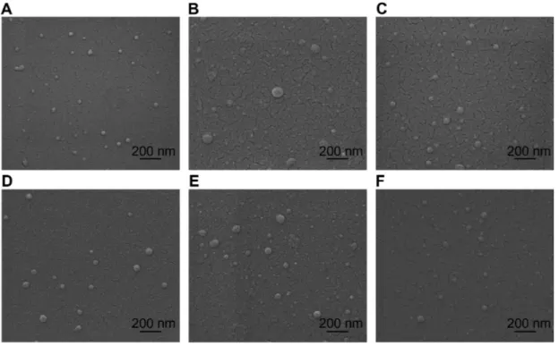 Figure 1 Environmental scanning electron microscopy images of spherical chitosan/dsODN nanoparticles