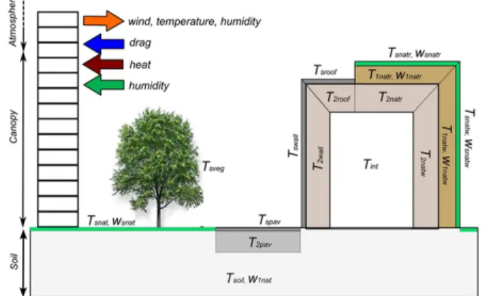 Fig. 1 Schematic representation of the urban vegetated canopy as considered in VUC model, with indication of  temperature (T) and humidity (W) variables associated to canopy elements