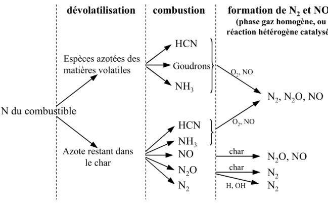 Figure II.2-4 : Schéma descriptif du devenir de l’azote du combustible [105] 
