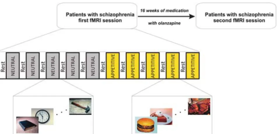 Figure 1 Patients were scanned before and after 16 weeks of olanzapine treatment. In each functional magnetic resonance imaging (fMRI) session, given that appetite is a state that may last for some time after food stimuli are presented, the blocks of appet