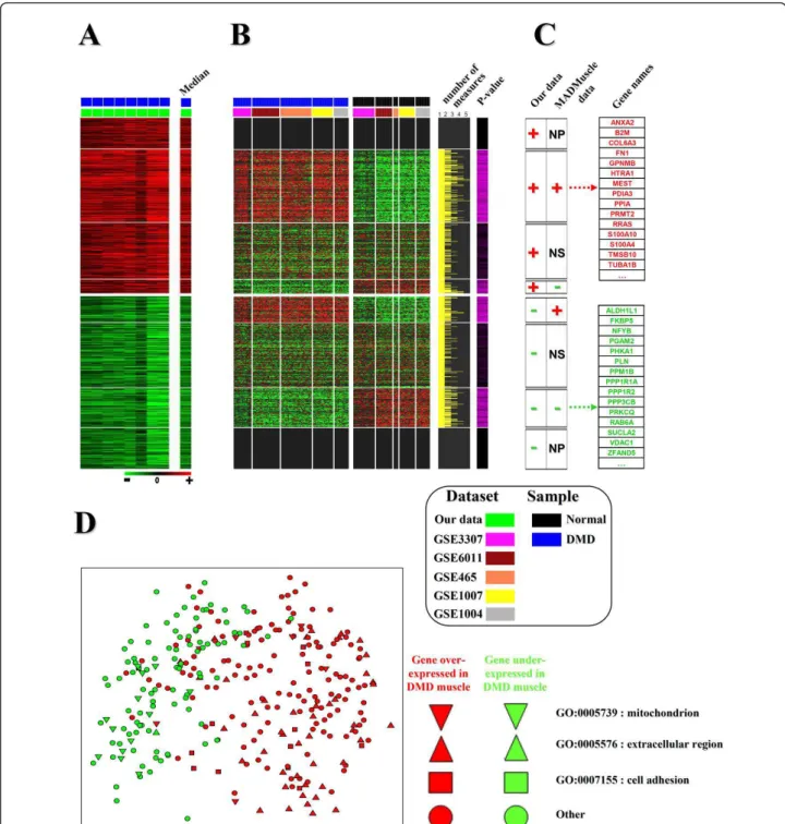 Figure 4 Using the MADMuscle meta-analysis tool to refine gene expression patterns in a given pathology with a high level of confirmation