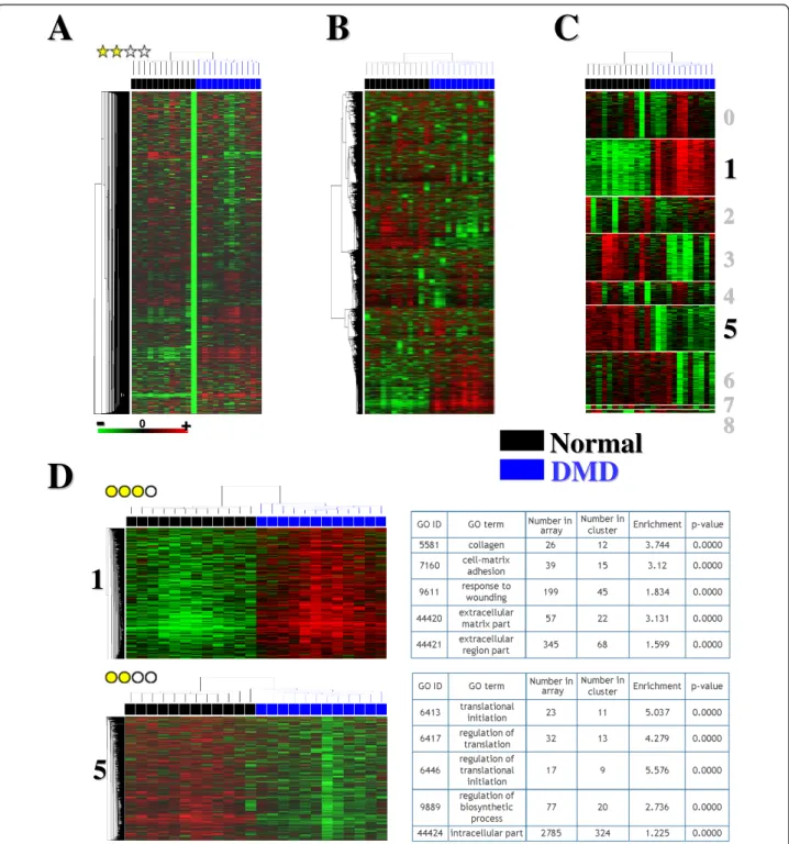 Figure 1 Summary of the analysis performed for each data set of the MADMuscle database