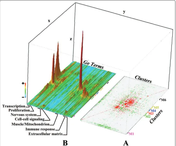 Figure 2 Hidden patterns revealed by meta-clusters across muscle-related transcriptome data sets