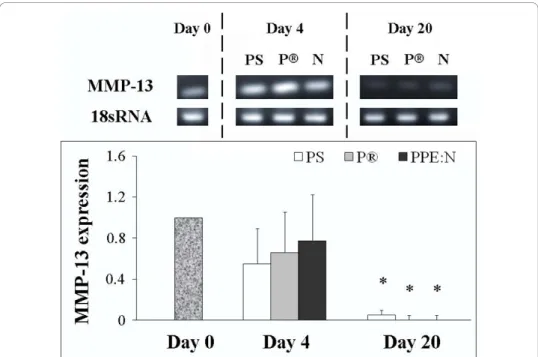 Figure 6 Effect of polystyrene culture dishes (PS), Primaria ® (P), and PPE:N (N) surfaces on the level of MMP-13 mRNA in hypertrophic growth plate chondrocytes