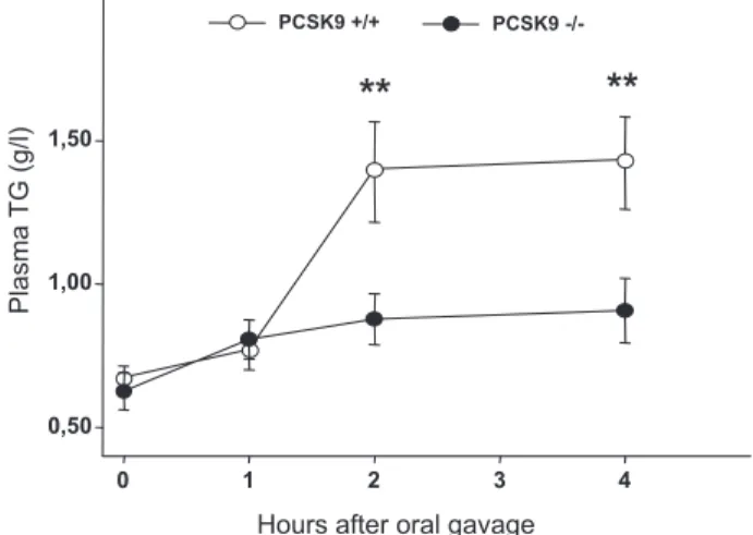 Figure 2. Postprandial lipemia is reduced in PCSK9 ⫺/⫺ mice. 14 hour–fasted PCSK9 ⫹/⫹ (white circles, n ⫽ 12 mice) and