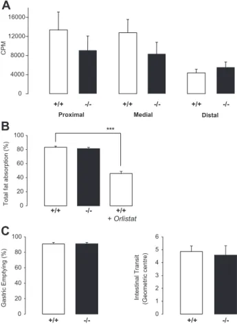 Figure 3. PCSK9 ⫺/⫺ mice do not present with altered intestinal fat absorption. A, Radioactivity in intestinal segments of PCSK9 ⫹/⫹ and PCSK9 ⫺/⫺ mice (n ⫽ 8 mice) 2 hours after gavage