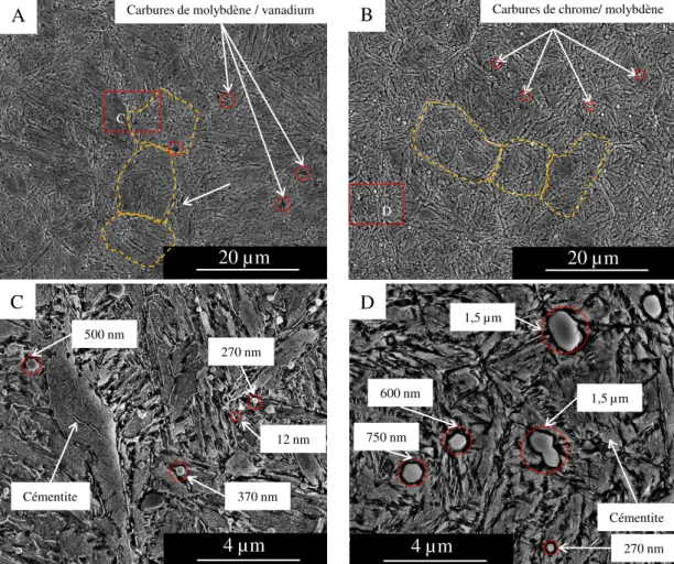 Figure 2.15 – Micrographies MEB des matériaux de lames après traitement ther- ther-mique