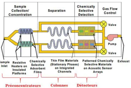 Figure 12 : Schéma du µchemlab avec les trois unités microfabriquées :  les préconcentrateurs, les colonnes et les détecteurs [Frye-Mason, 1999] 