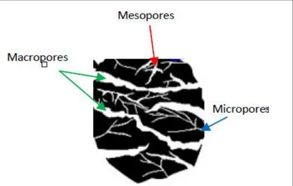 Figure 40 : Différents types de pores dans une poudre de carbone   [Lahlou, 2011] 
