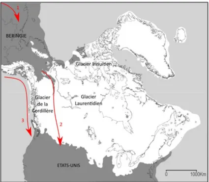 Figure 14 : Les principales voies de dispersions humaines en Amérique du Nord.  