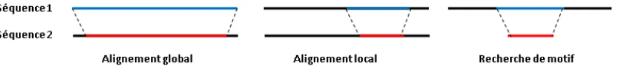 Fig. 2.3 – Les diff´erents types d’alignement de s´equences