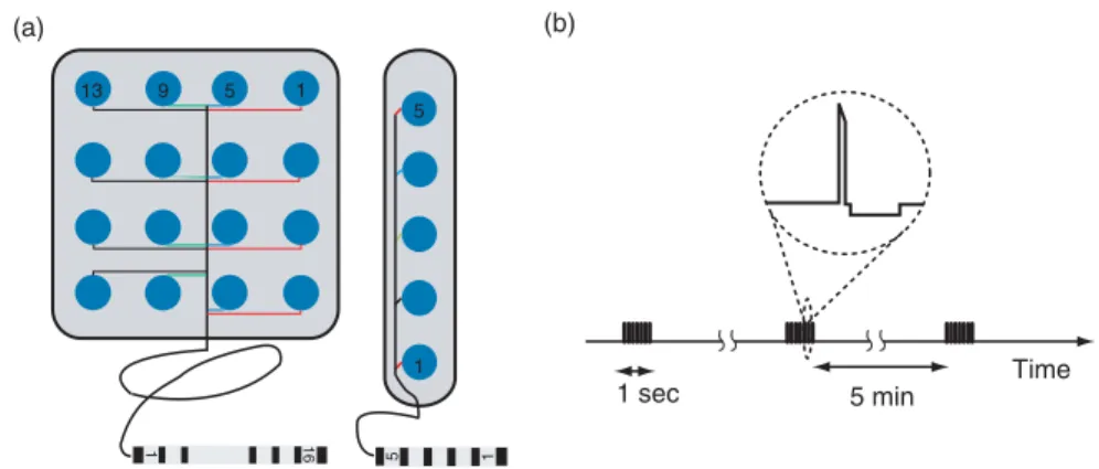 Figure 5. (a) The custom-made subdural electrodes and (b) the biphasic charge- charge-balanced electrical stimulation.