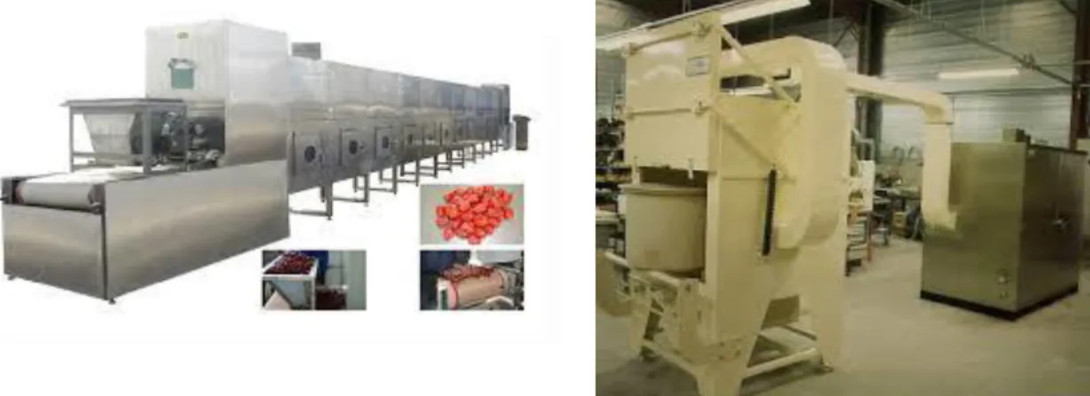 figure  I)13).  Currently  industrial  microwaves  are  principally  used  in  food  field  or  other  low  temperature applications