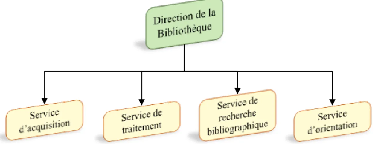 Figure 3.1: L’organigramme de la bibliothèque centrale