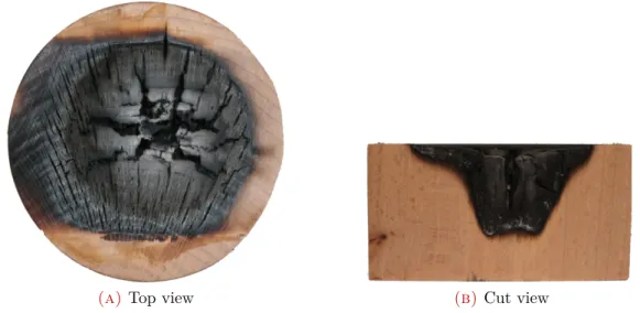 Figure 3.1: Sample views after a 5 minutes exposure for the reference case (9 %wb, bois de bout)