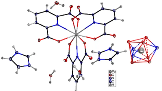 Figure 2: Unit cell content of [An IV (DPA) 3 ] · (C 3 H 4 N 2 ) 2 · (H 2 O) 3 (on the left side) and the  correspond-ing polyhedron (right side)