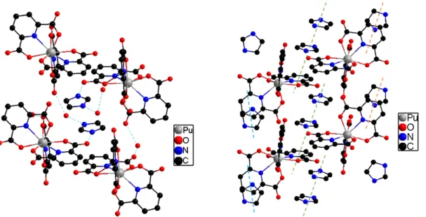 Figure 3: [Pu IV (DPA) 3 ] · (C 3 H 5 N 2 ) 2 · (H 2 O) 3 structure. Intermolecular interactions are represented by dashed lines : hydrogen bonds on the left side and π − π interaction on the right side